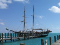 t_284_8456.jpg