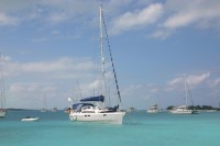 t_288_8837.jpg