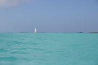 t_289_8928.jpg